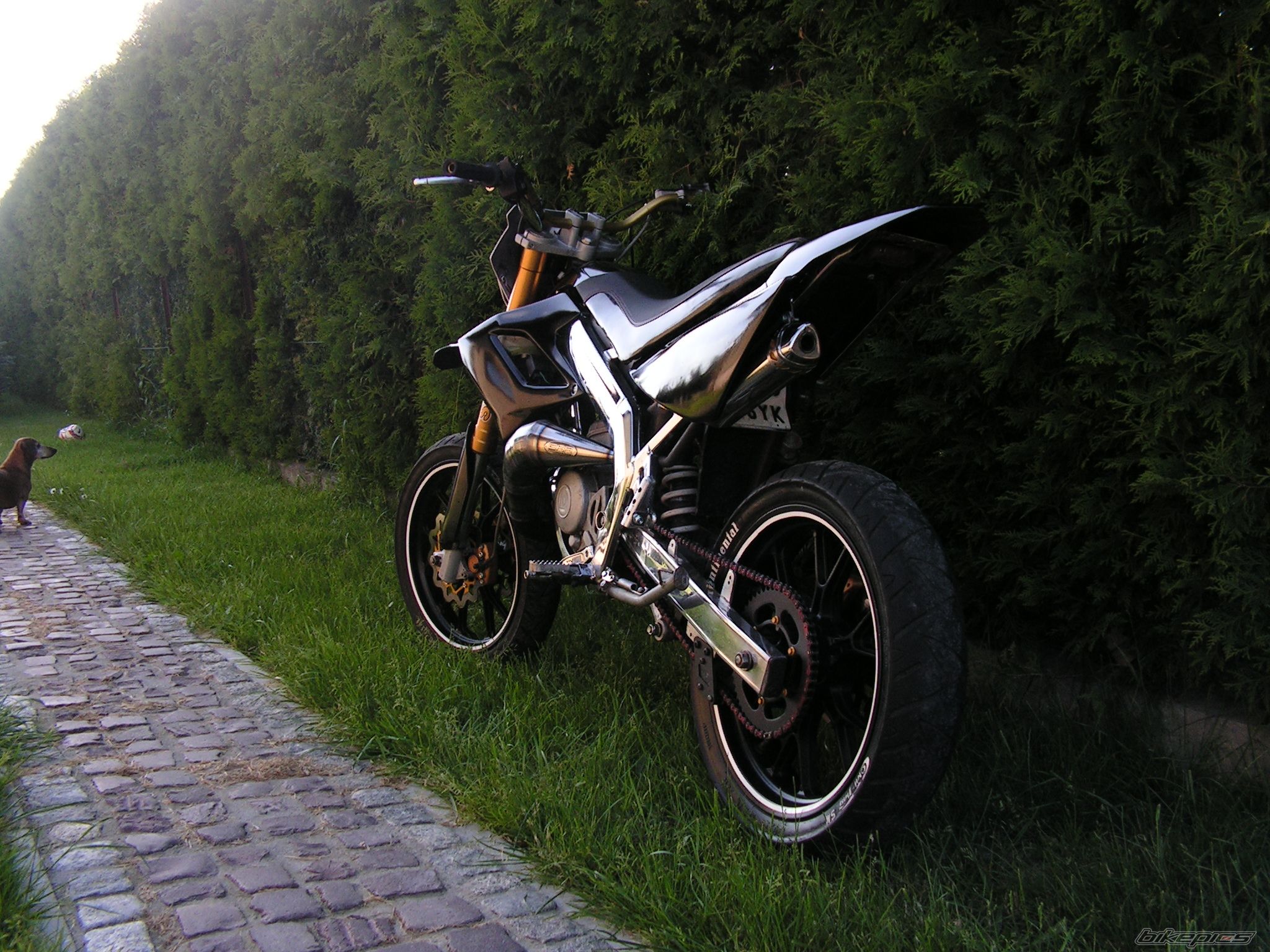 Photo 2670723