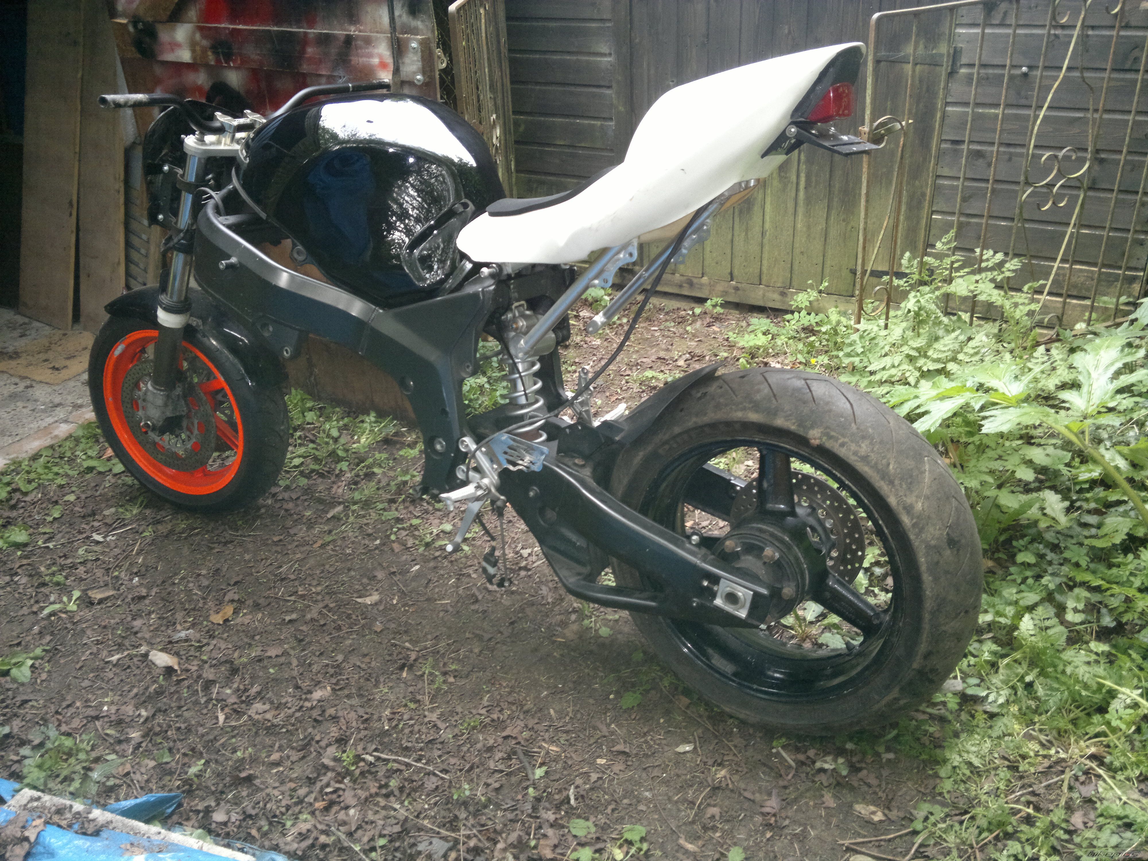 Photo 2670728