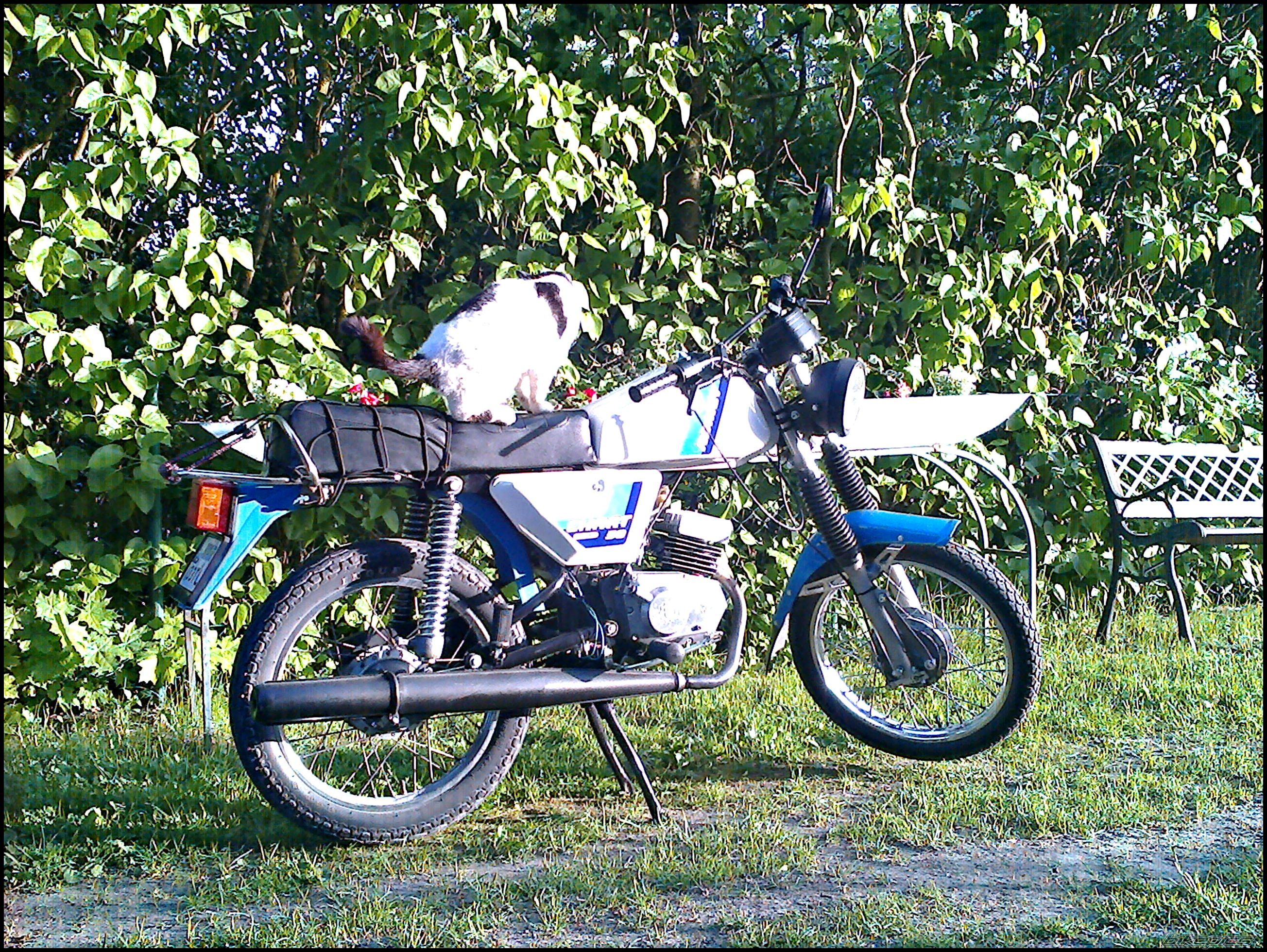 Photo 2670829
