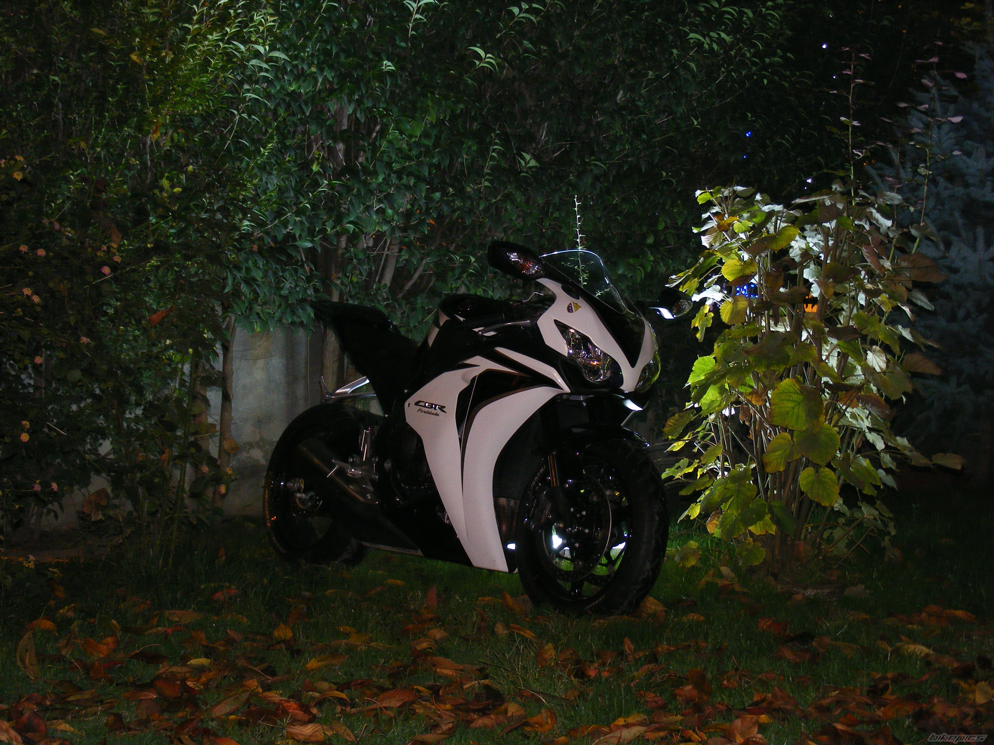 Photo 2671263