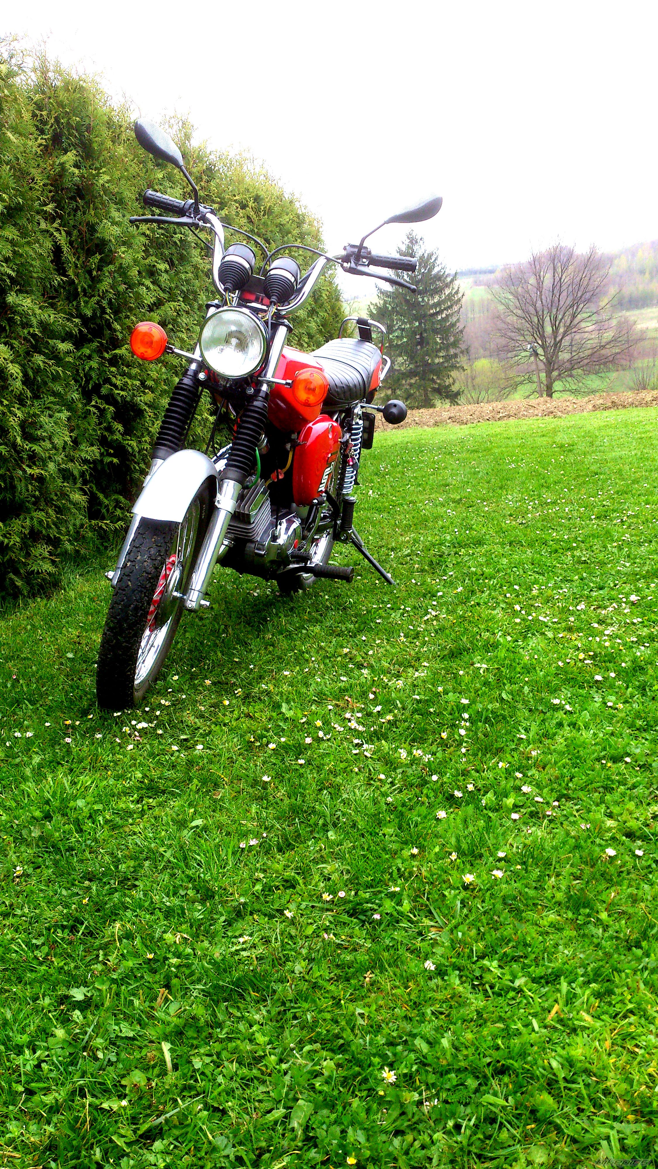 Photo 2671269