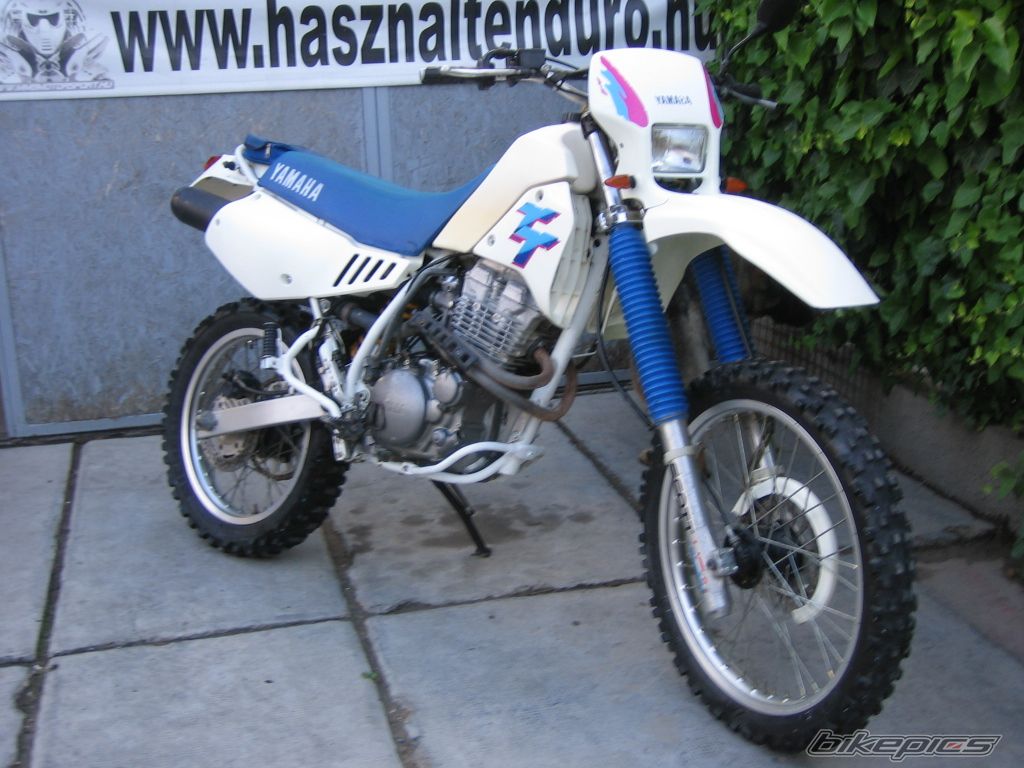 Photo 2671333