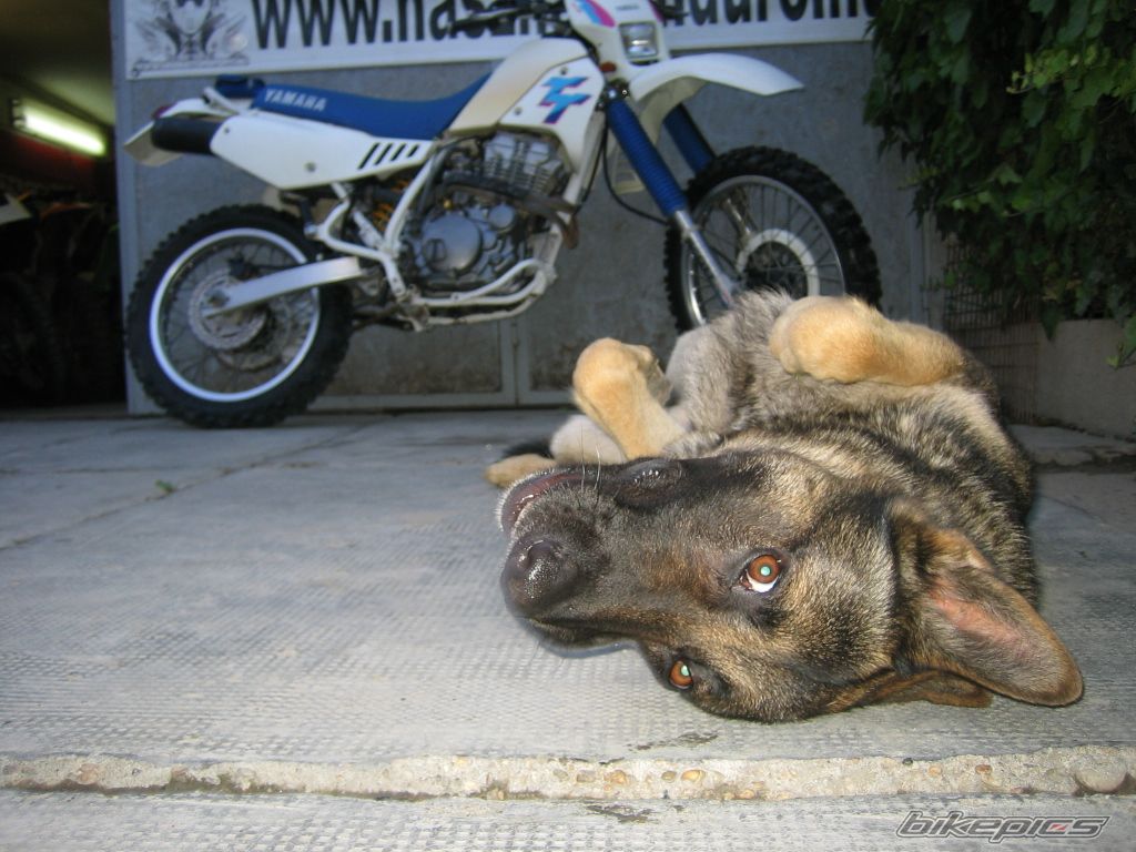 Bike Photo 2671335