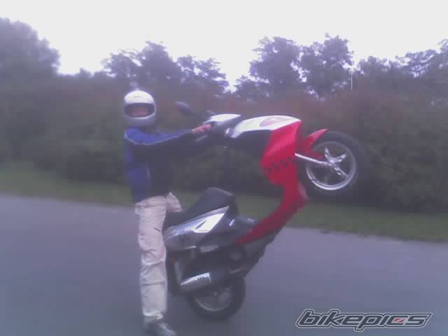 Photo 267136
