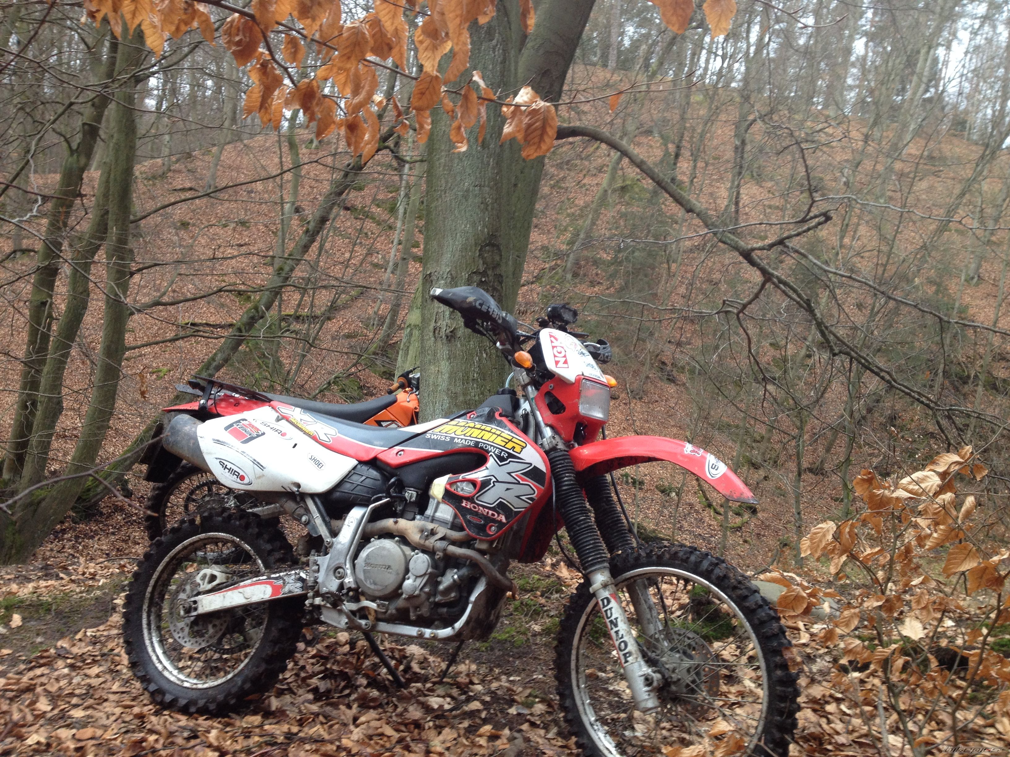 Photo 2671381