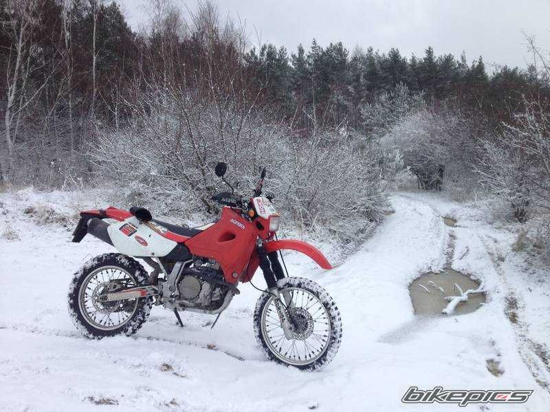 Photo 2671387