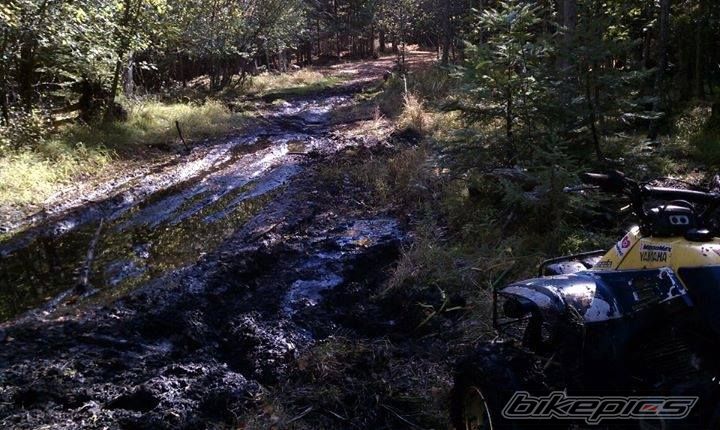 Photo 2671439