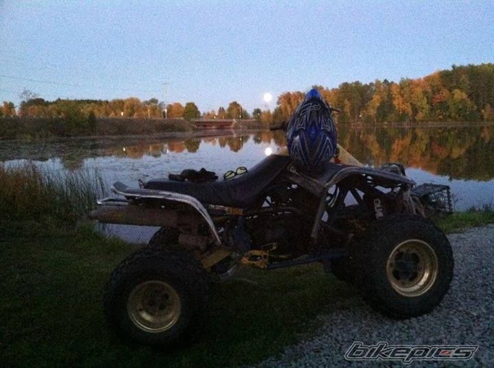 Photo 2671441