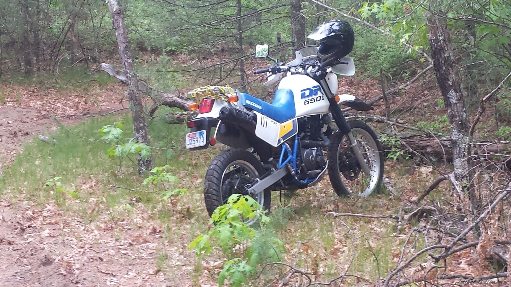 Photo 2671448