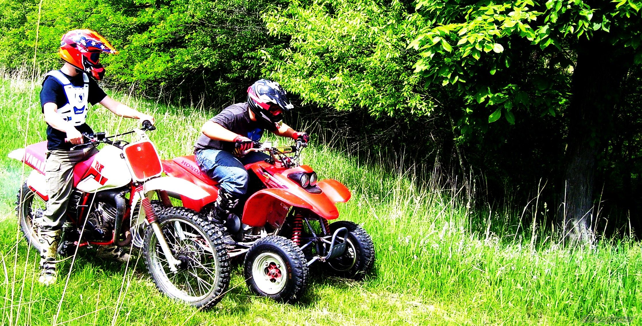 Photo 2671667