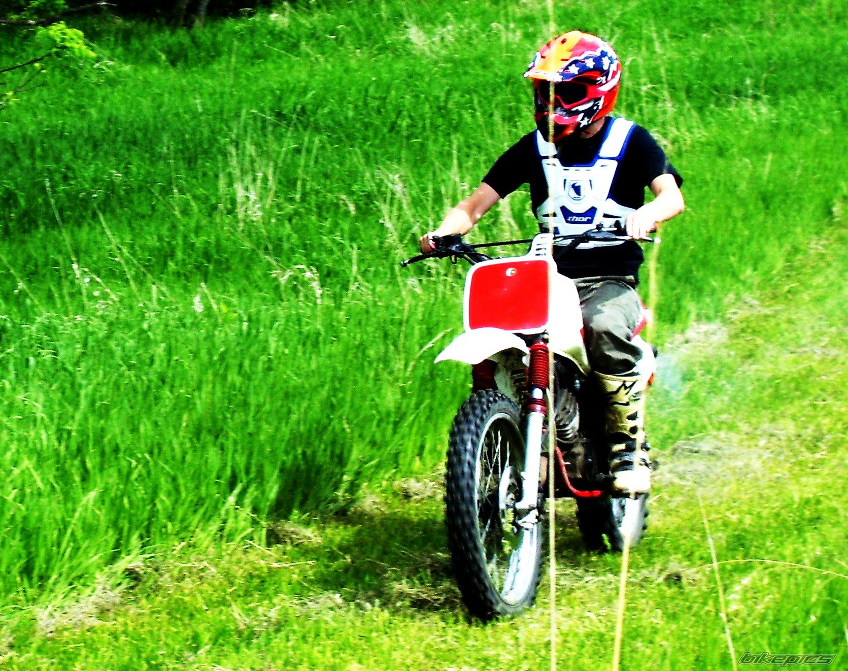 Photo 2671670