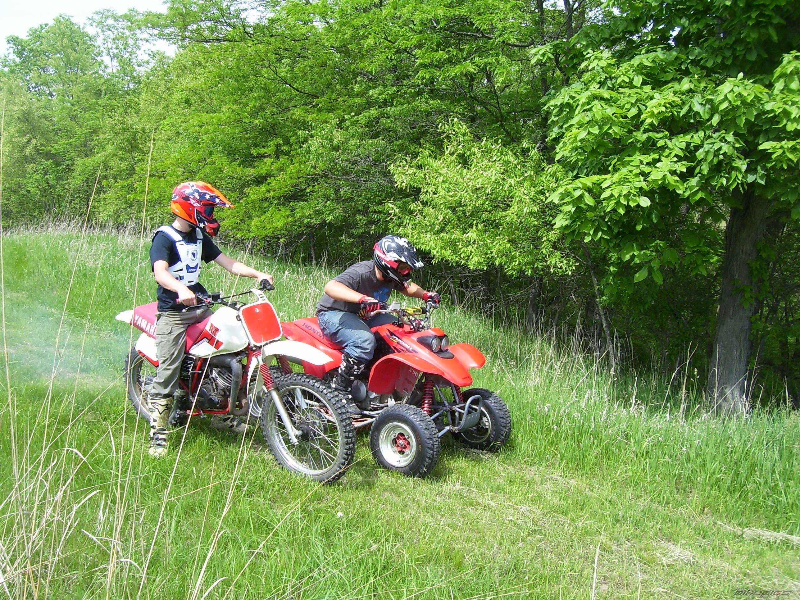 Photo 2671722