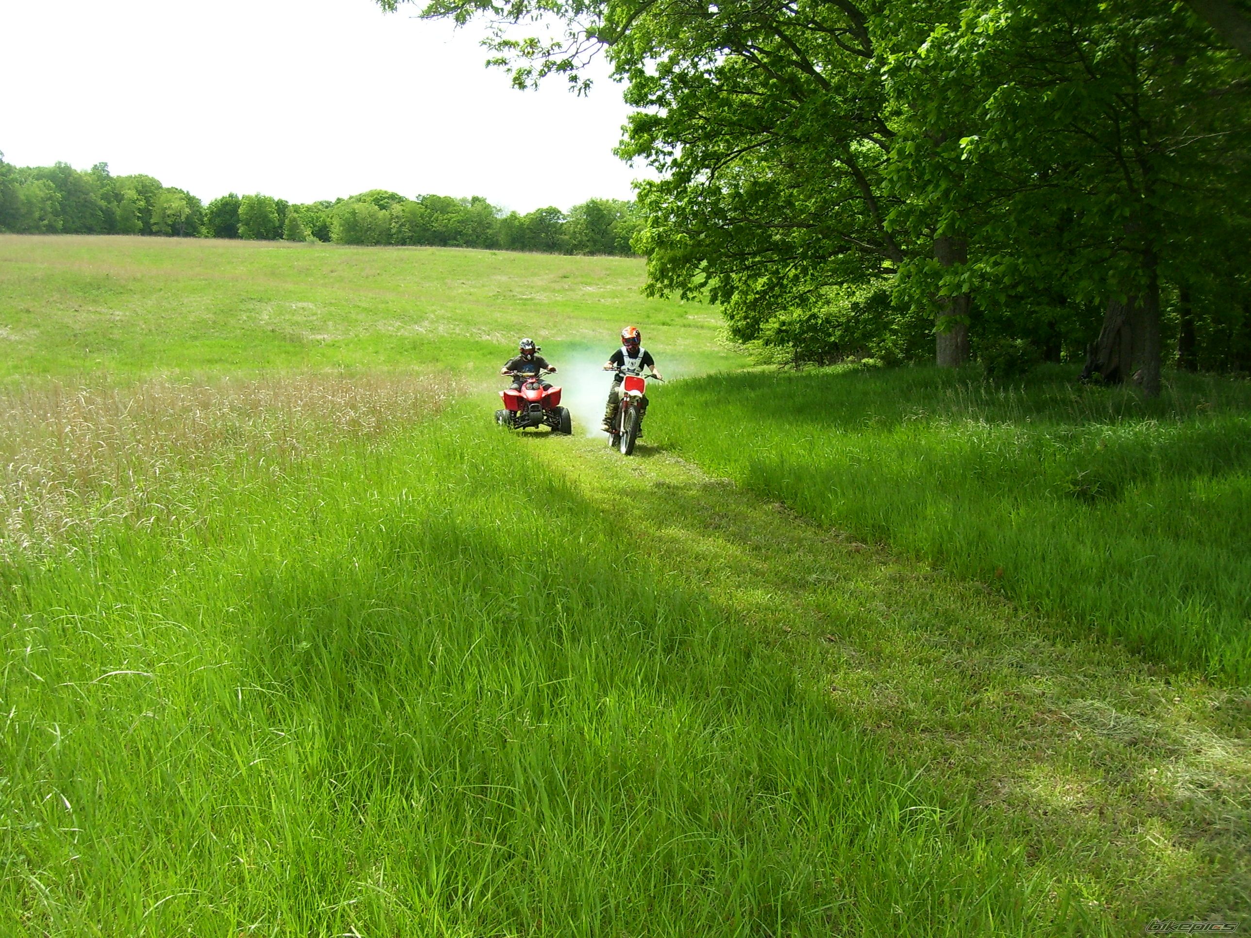Photo 2671723