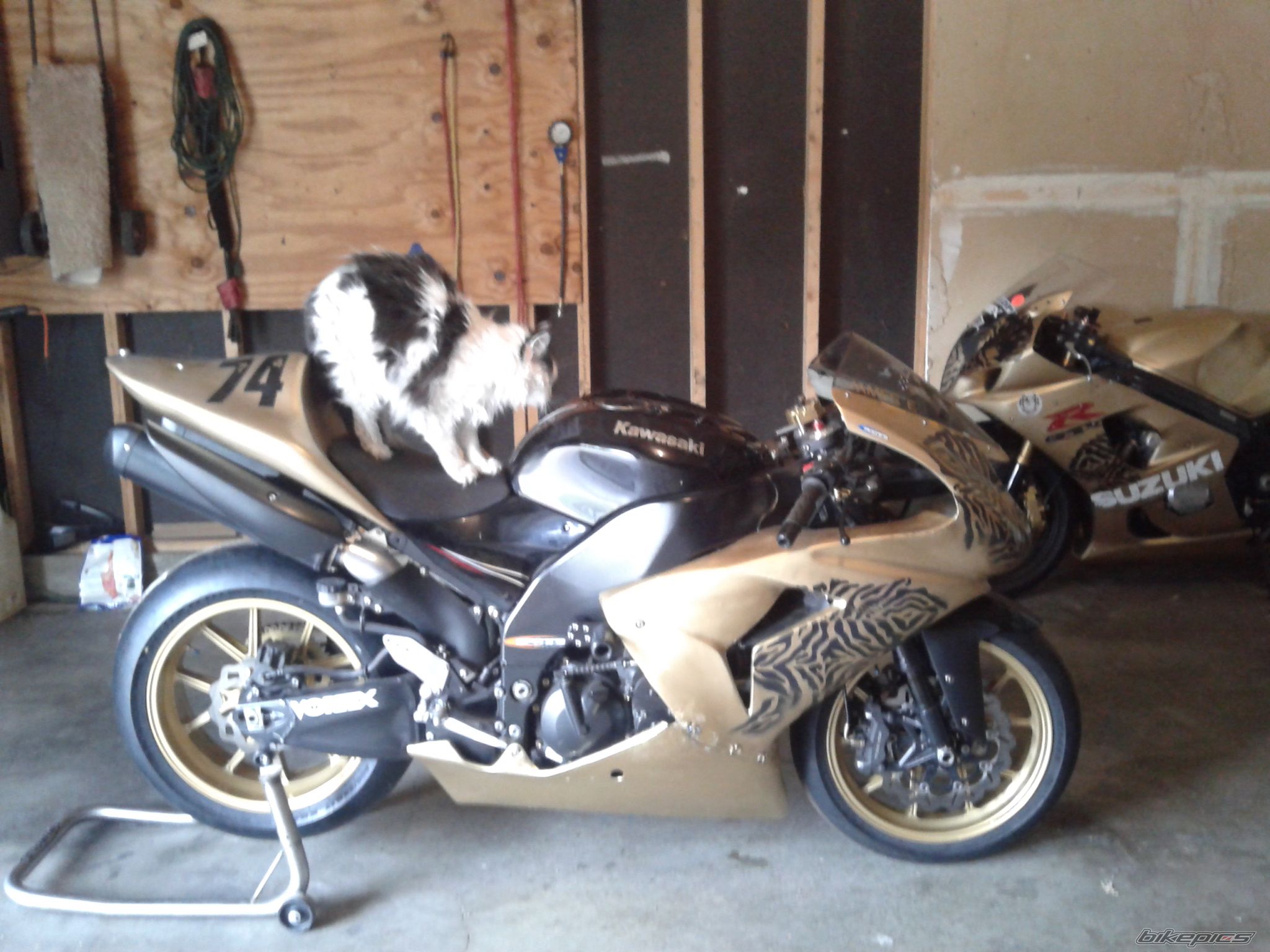 Photo 2671724
