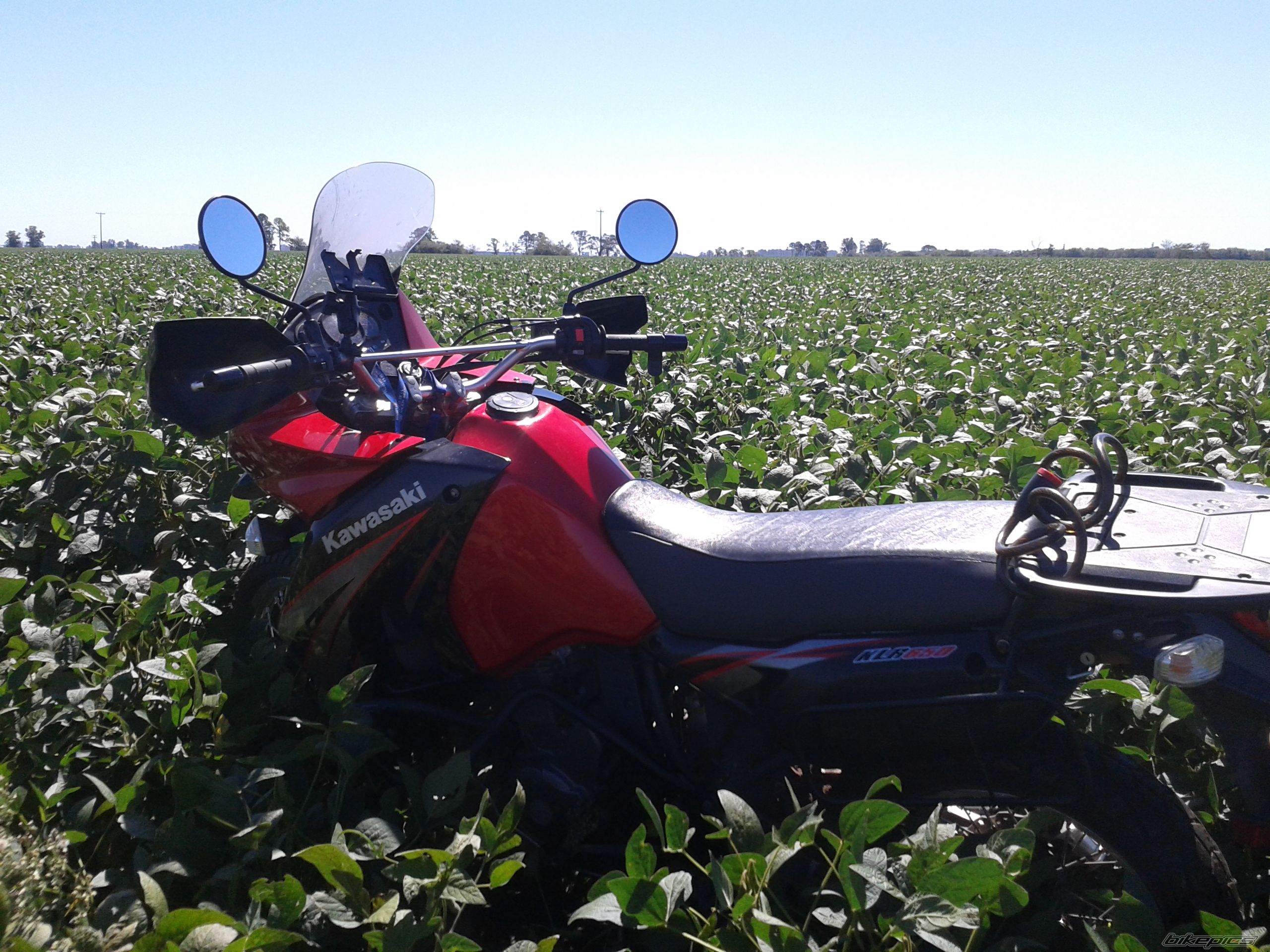 Photo 2671795