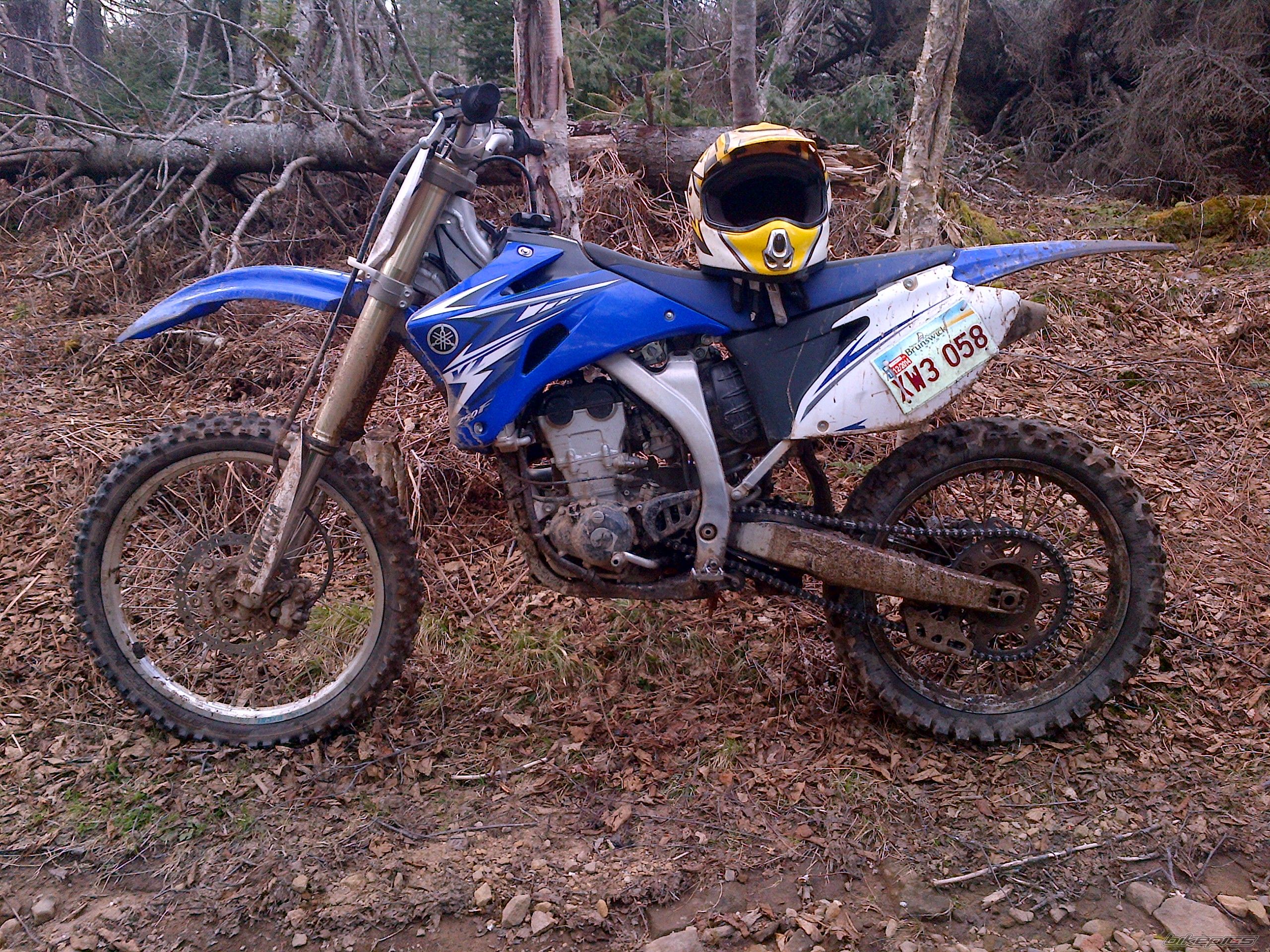 Photo 2671913