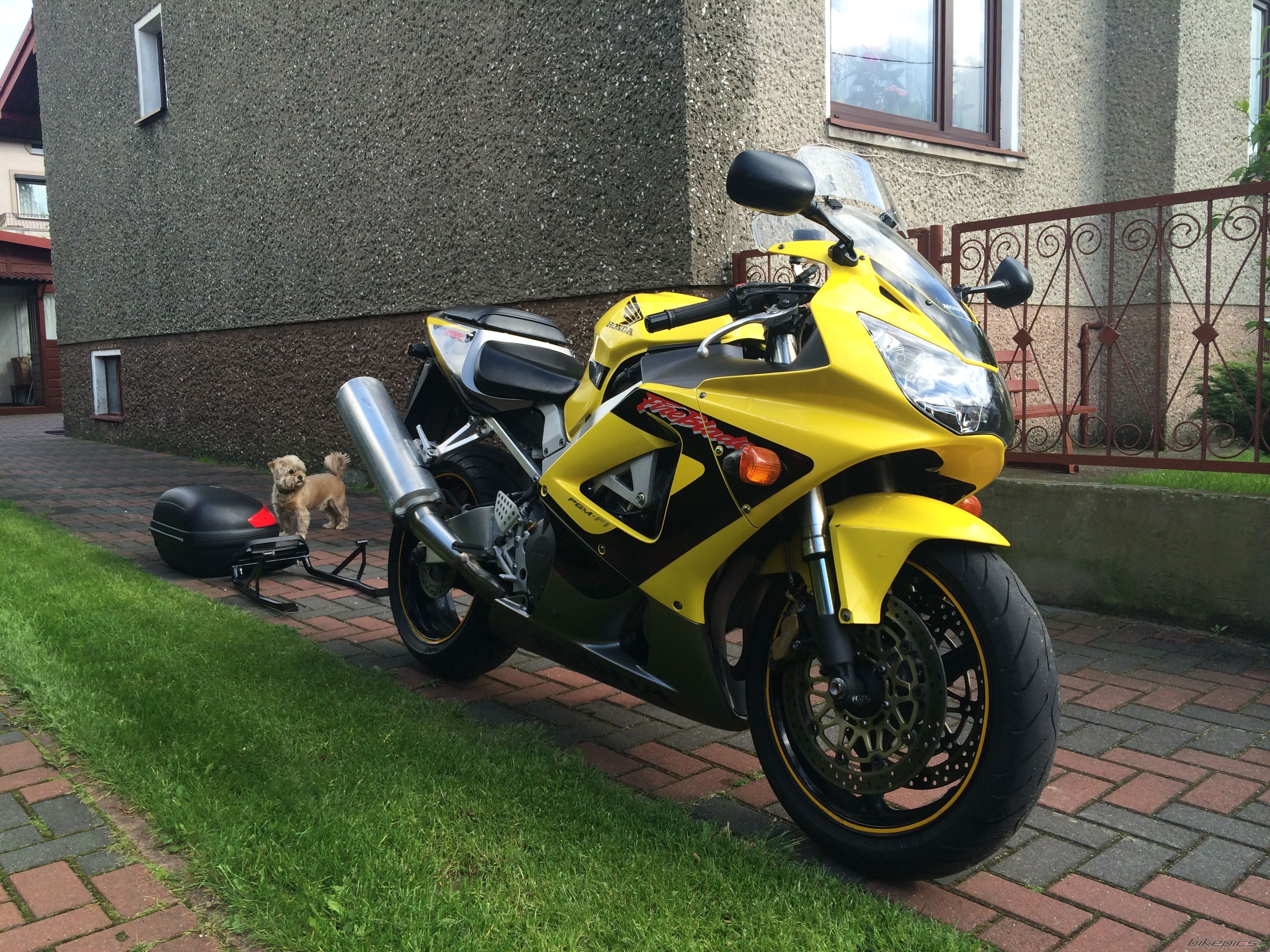 Photo 2671922