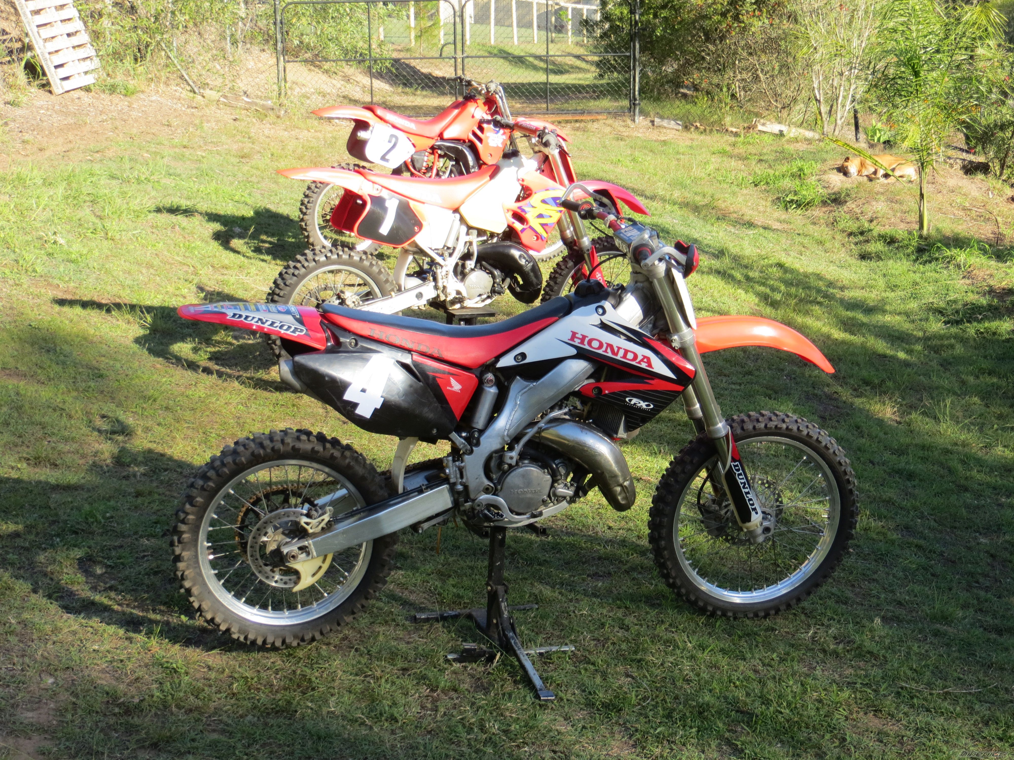 Photo 2671960