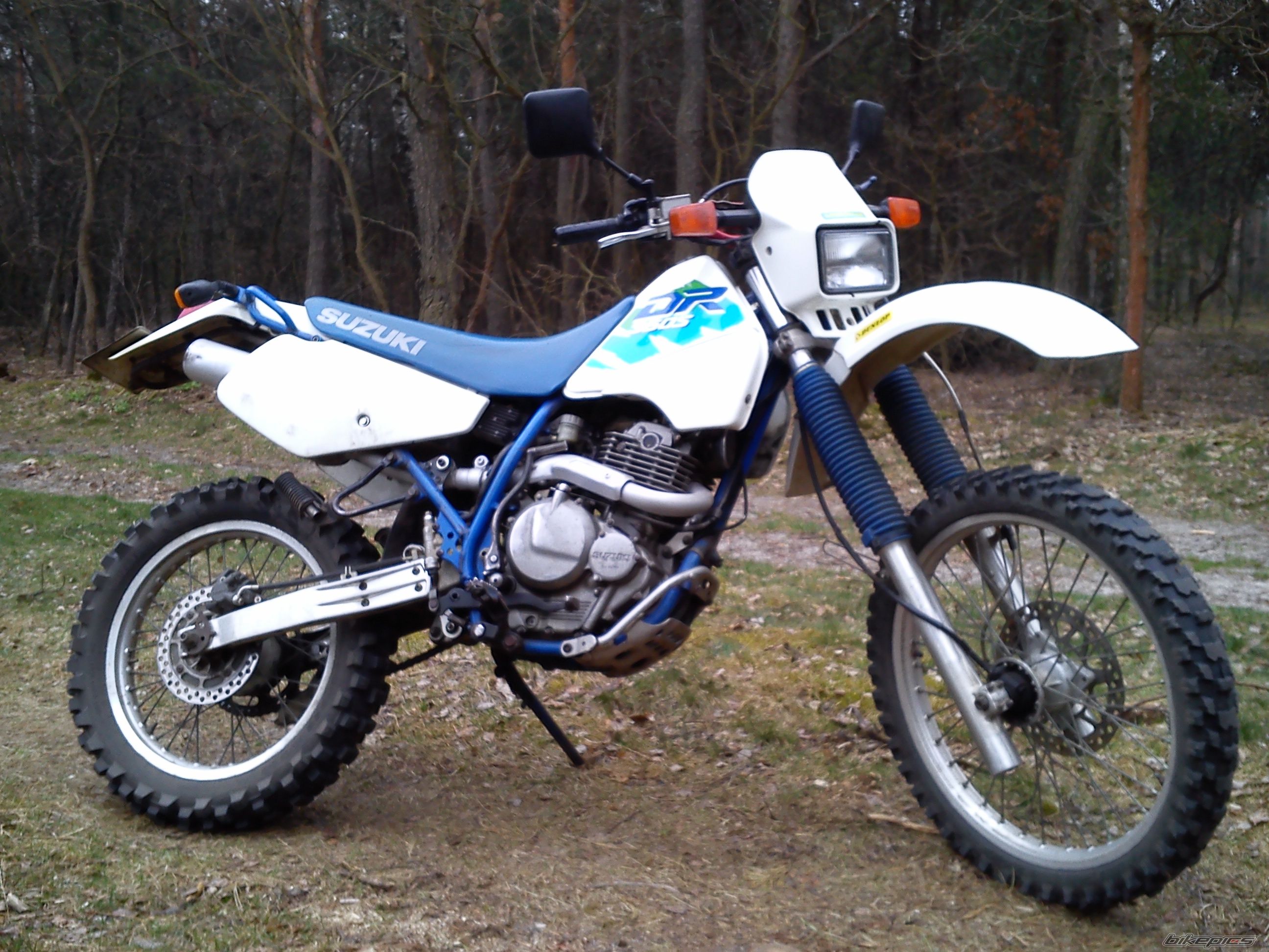 Photo 2672193