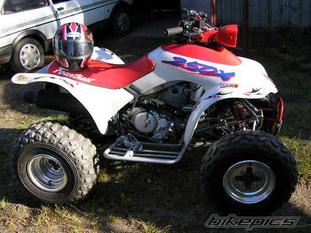 Photo 267226