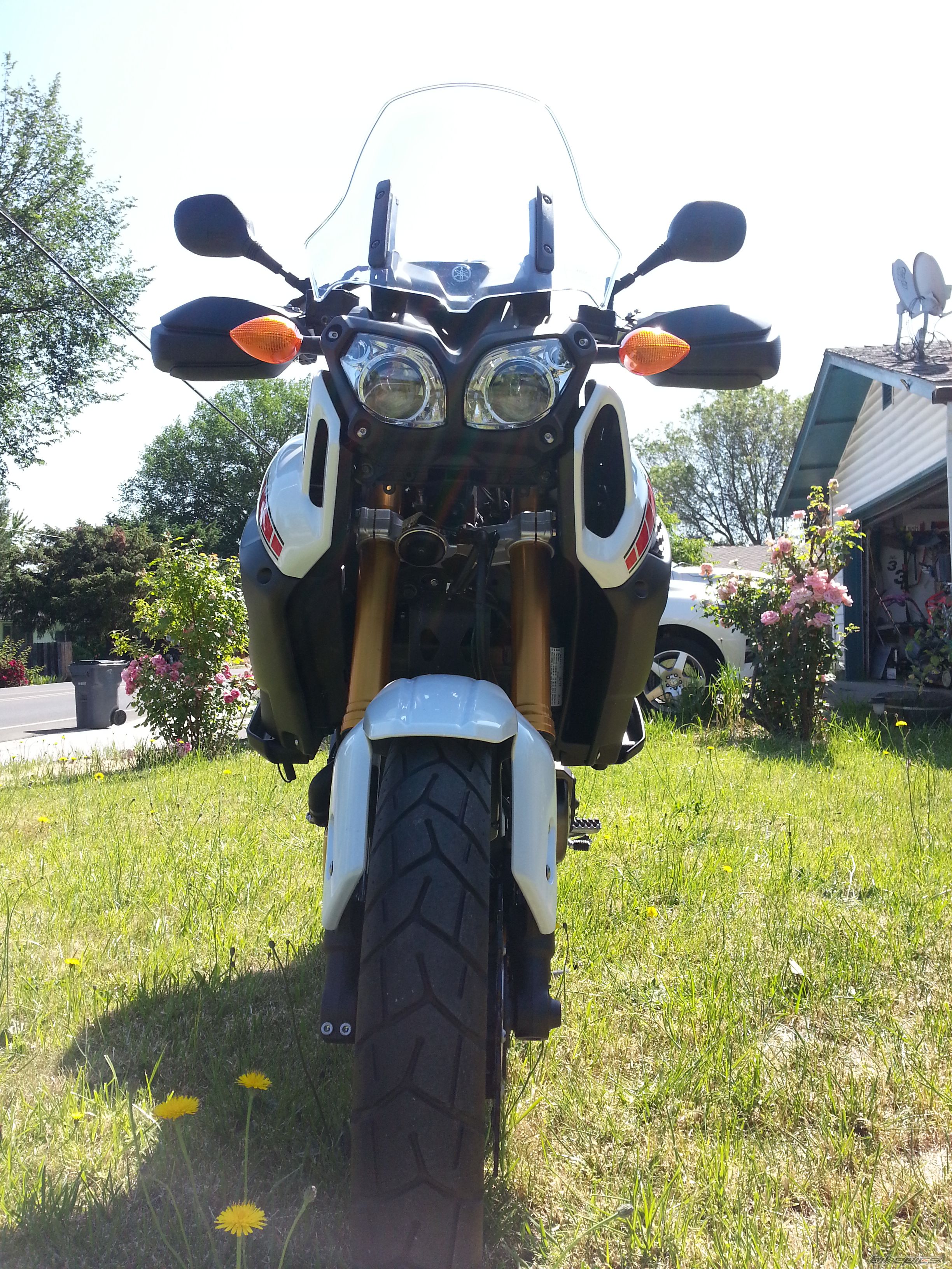 Photo 2672377