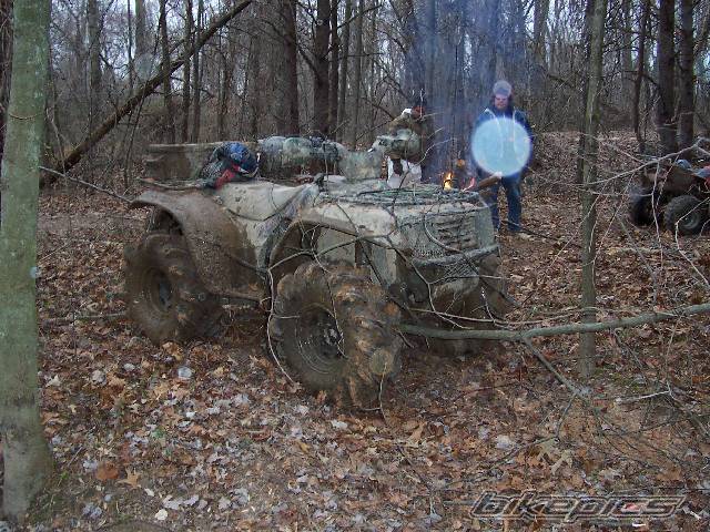 Photo 267245