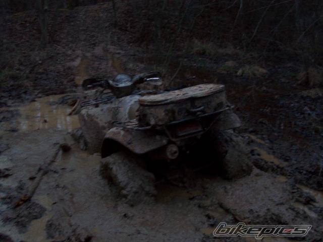 Photo 267246