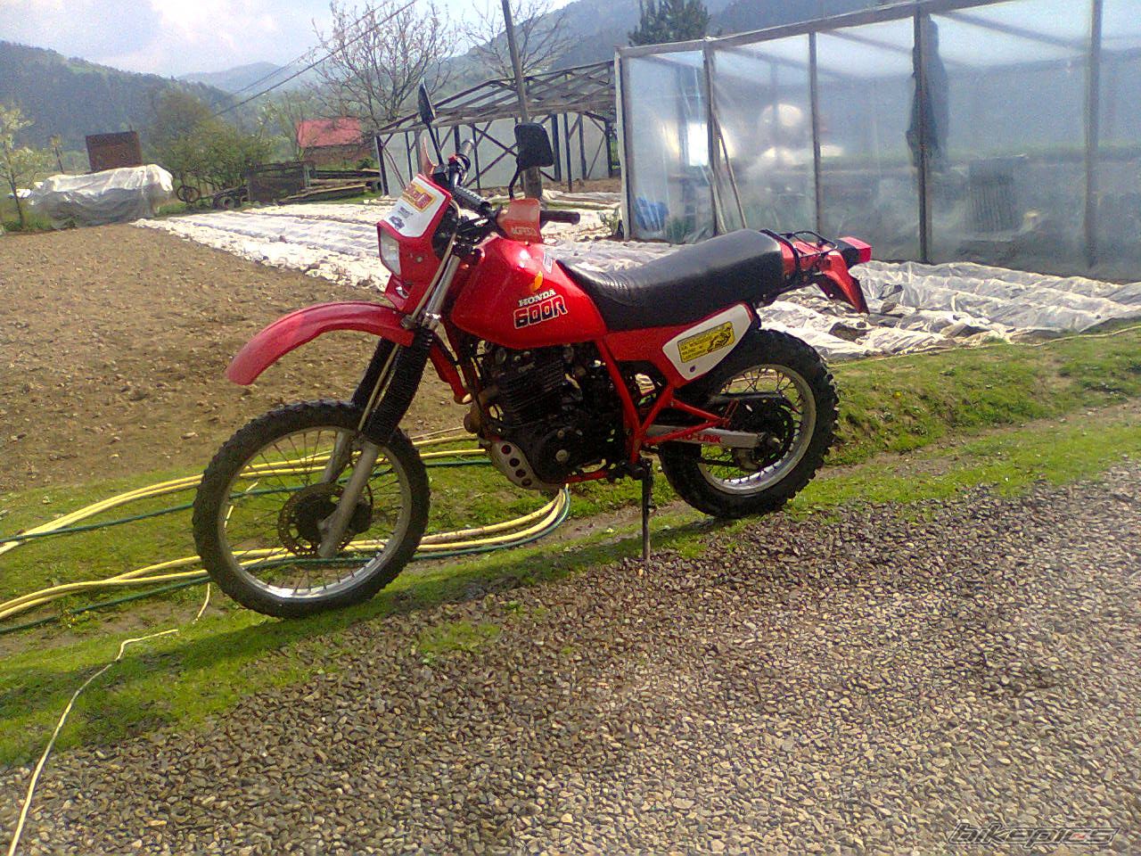 Photo 2672534