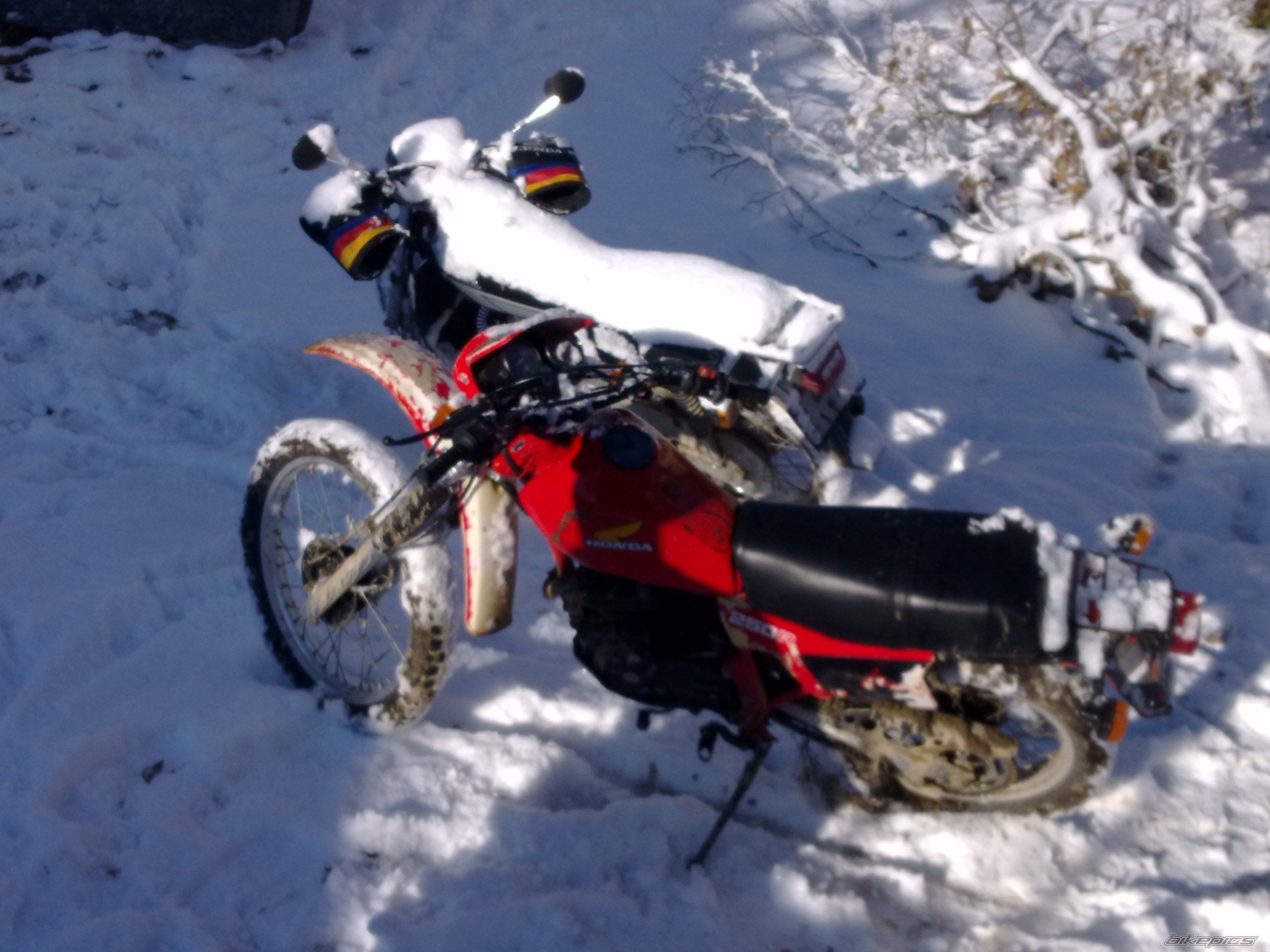 Photo 2672662