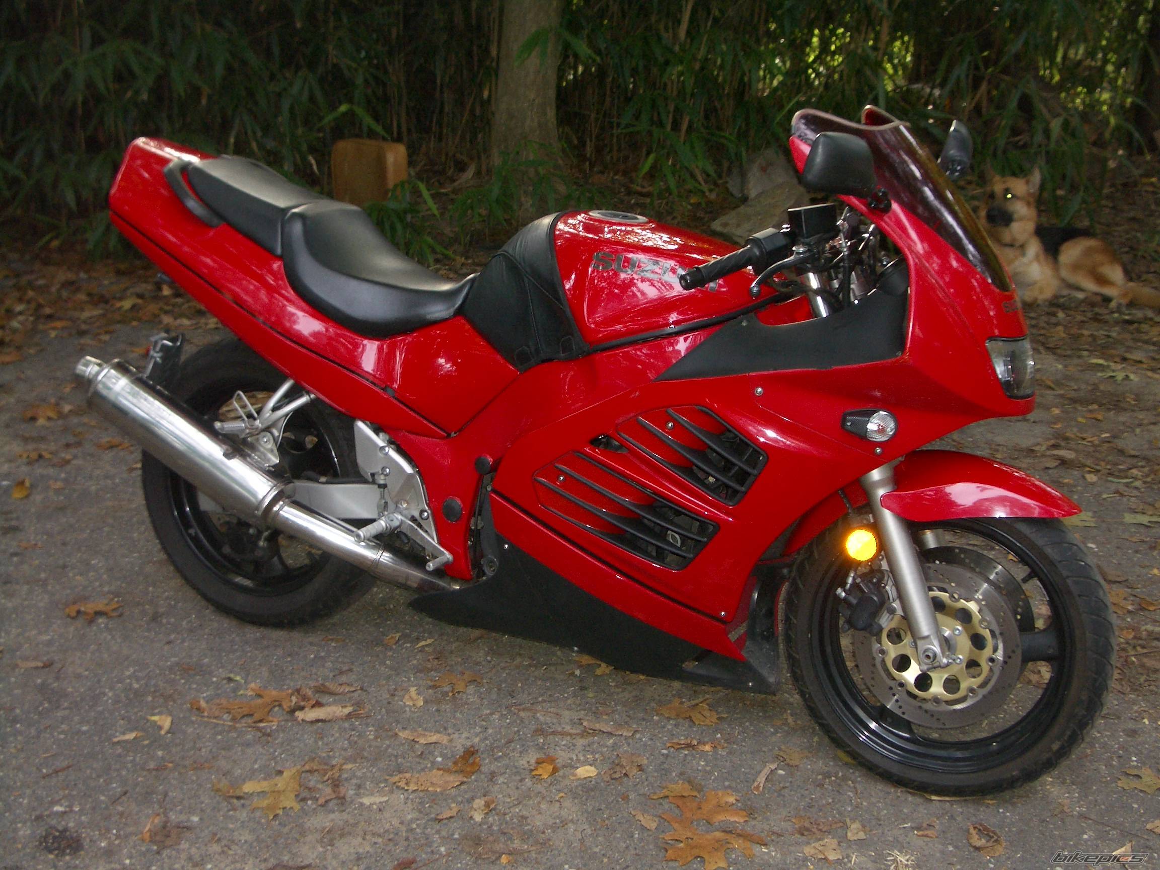 Photo 267285