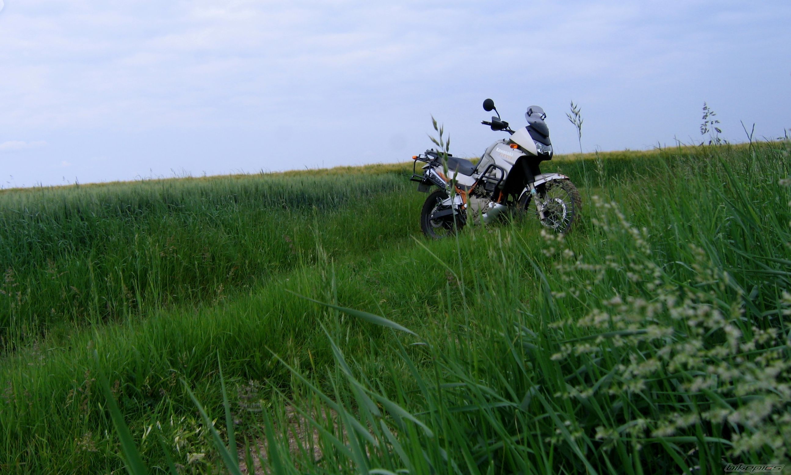 Photo 2672857