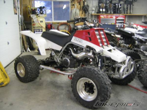 Photo 267288