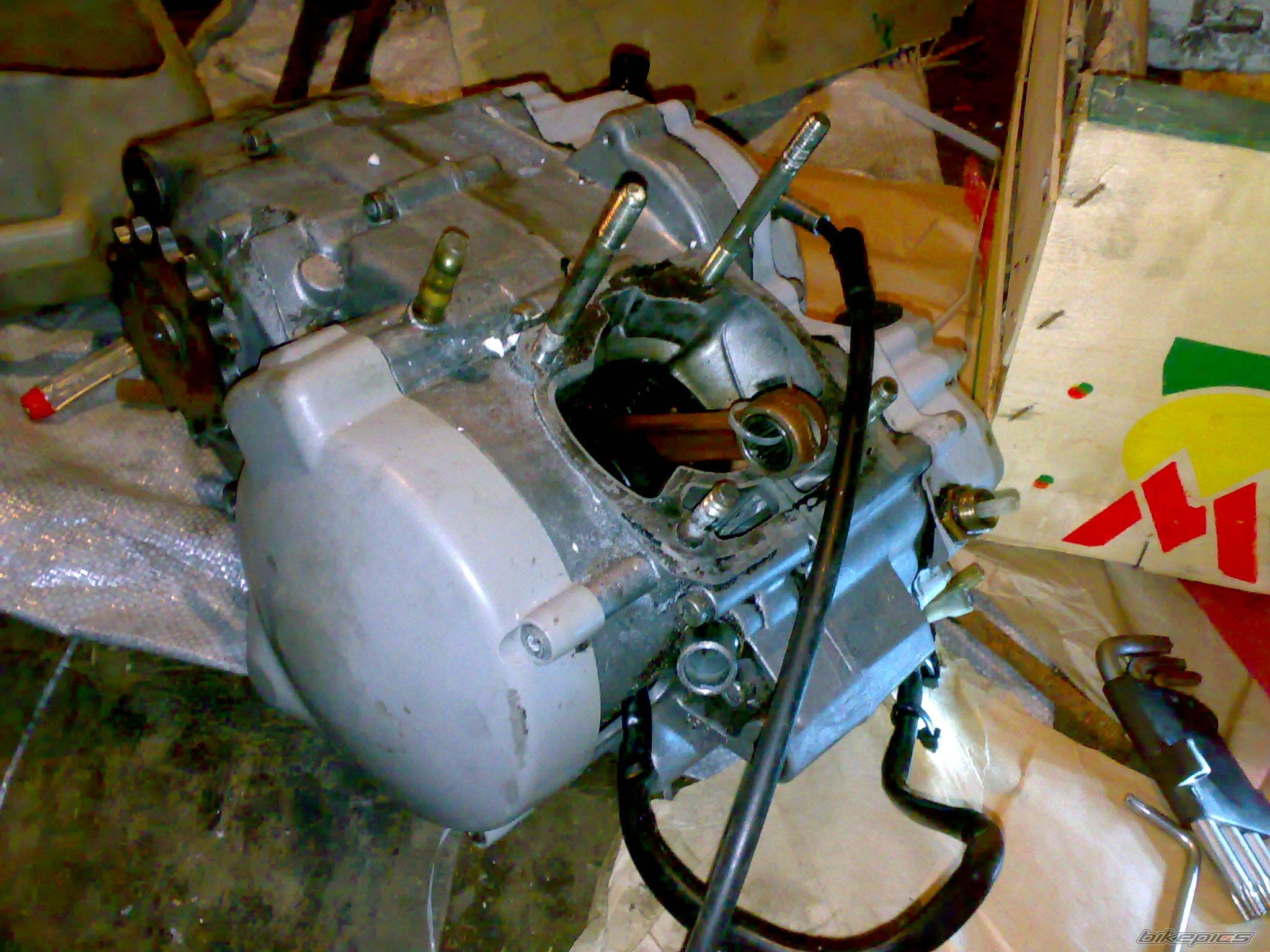 Photo 2672914