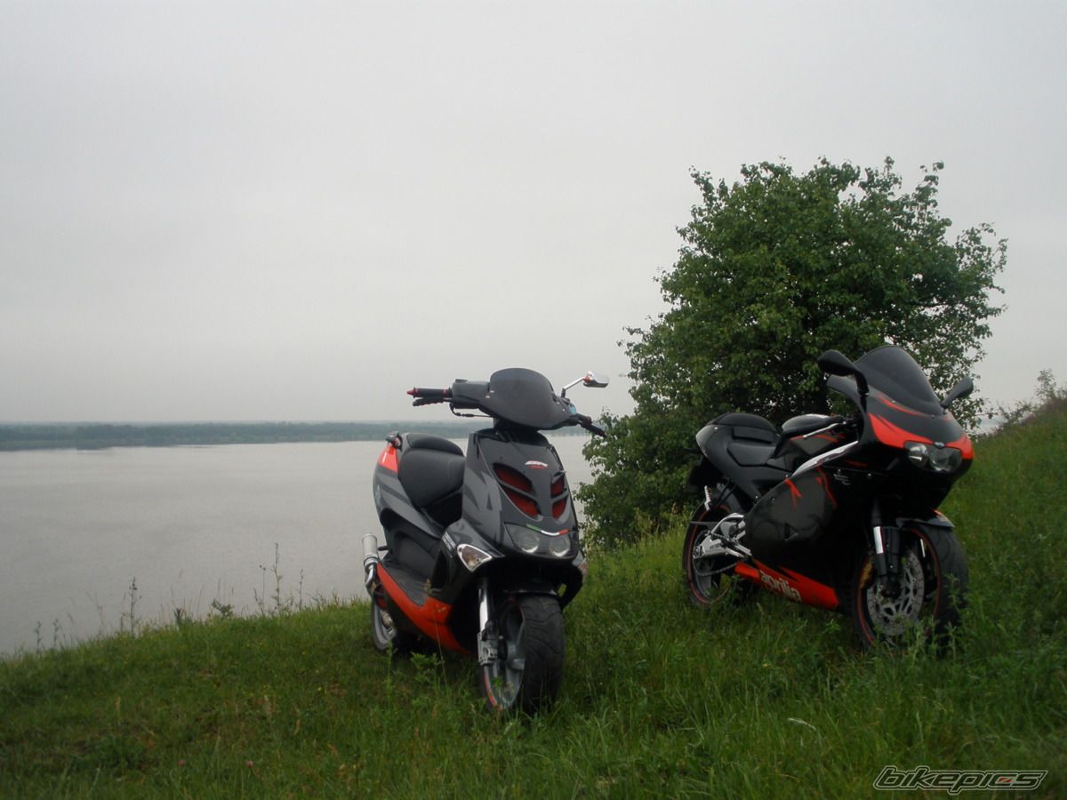 Photo 2673348