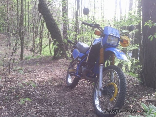 Photo 2673370