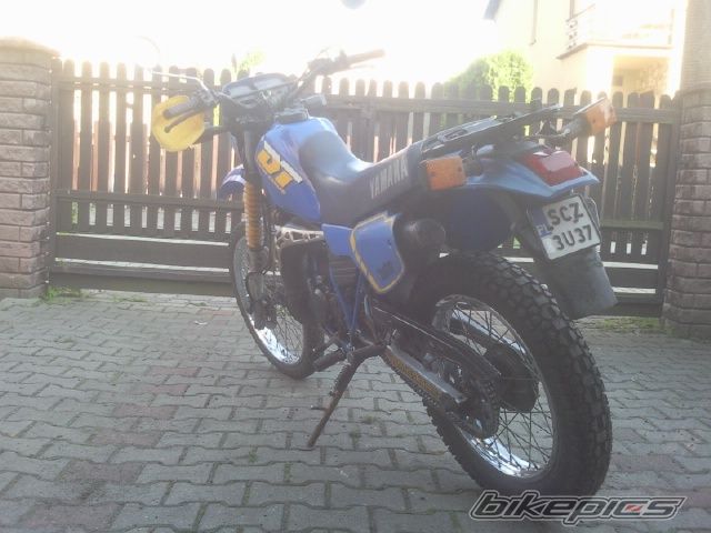 Photo 2673374