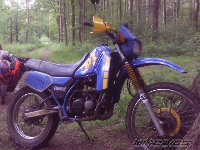 Photo 2673386