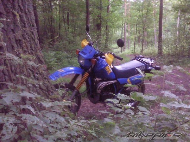 Photo 2673389