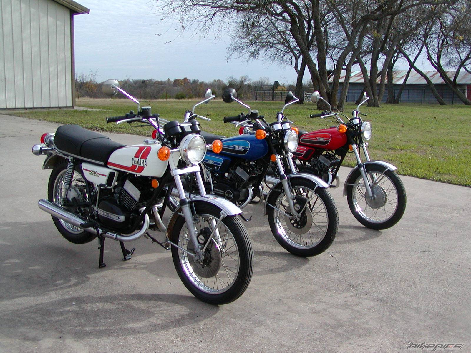 Photo 267344