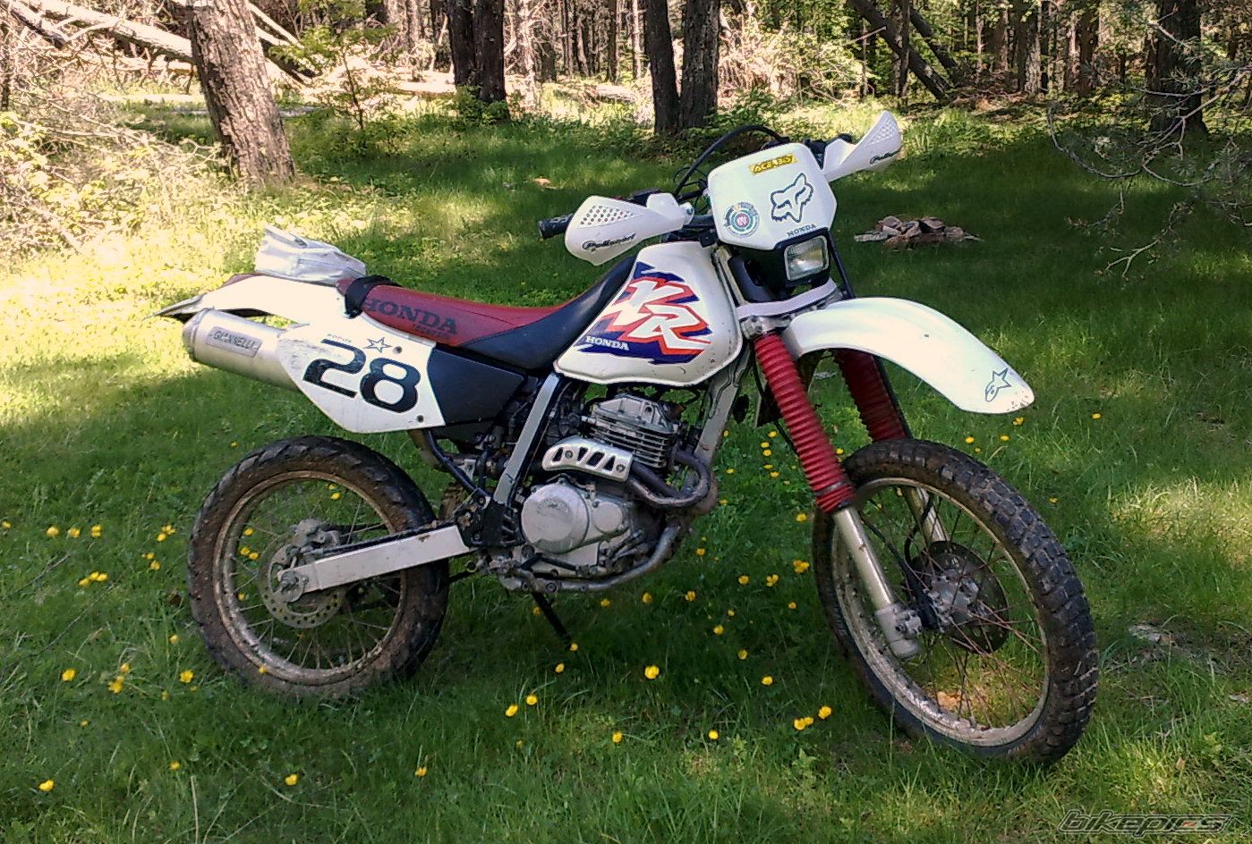 Photo 2673581
