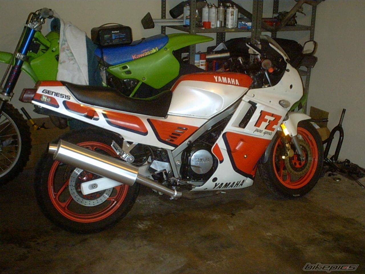 Photo 267361