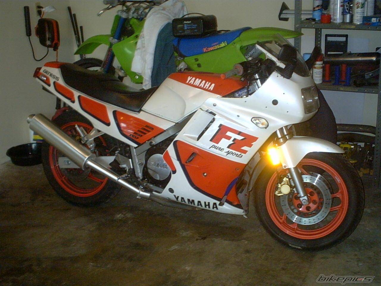 Photo 267363
