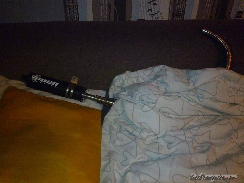 Photo 2673690