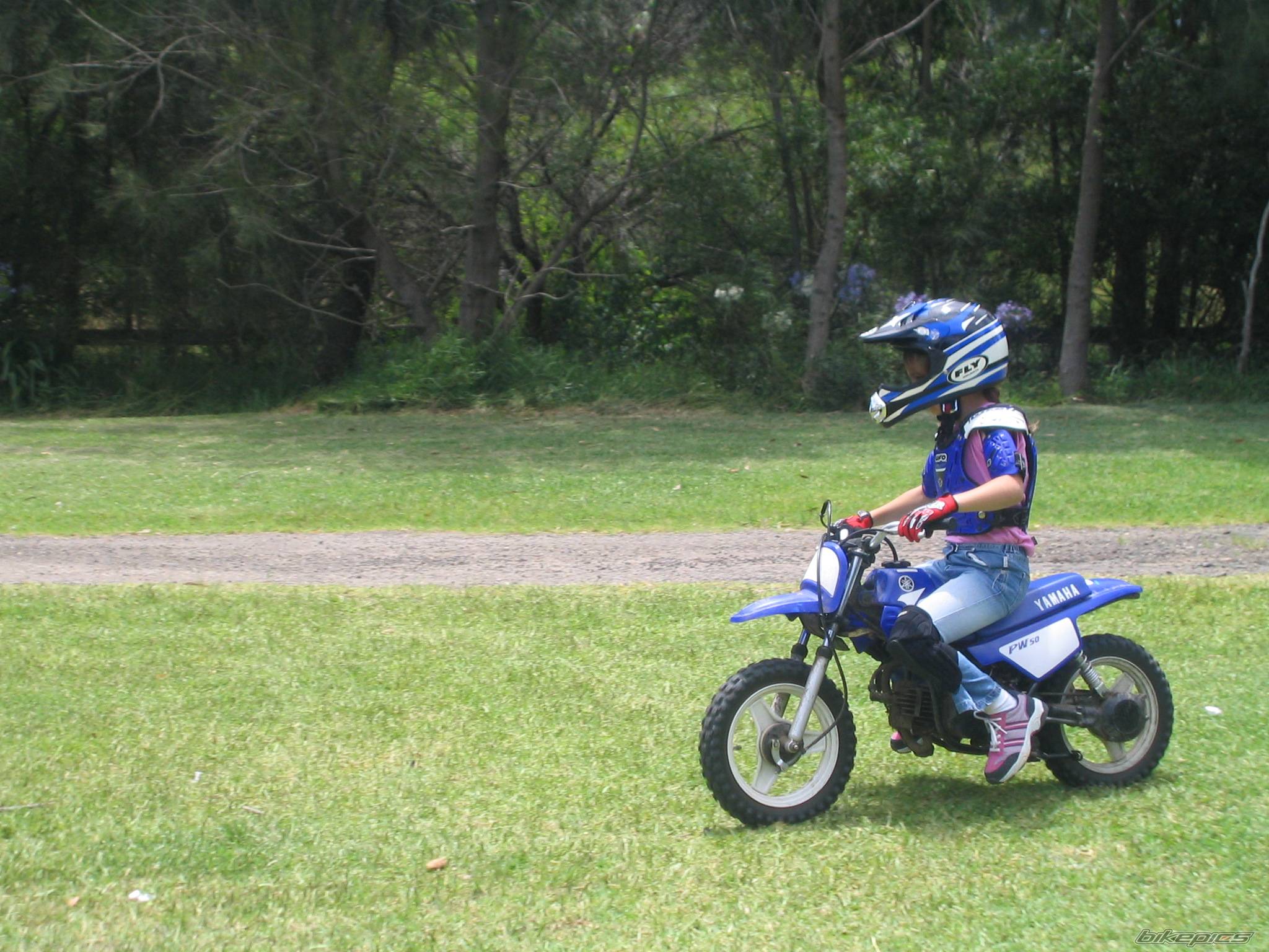 Photo 267388