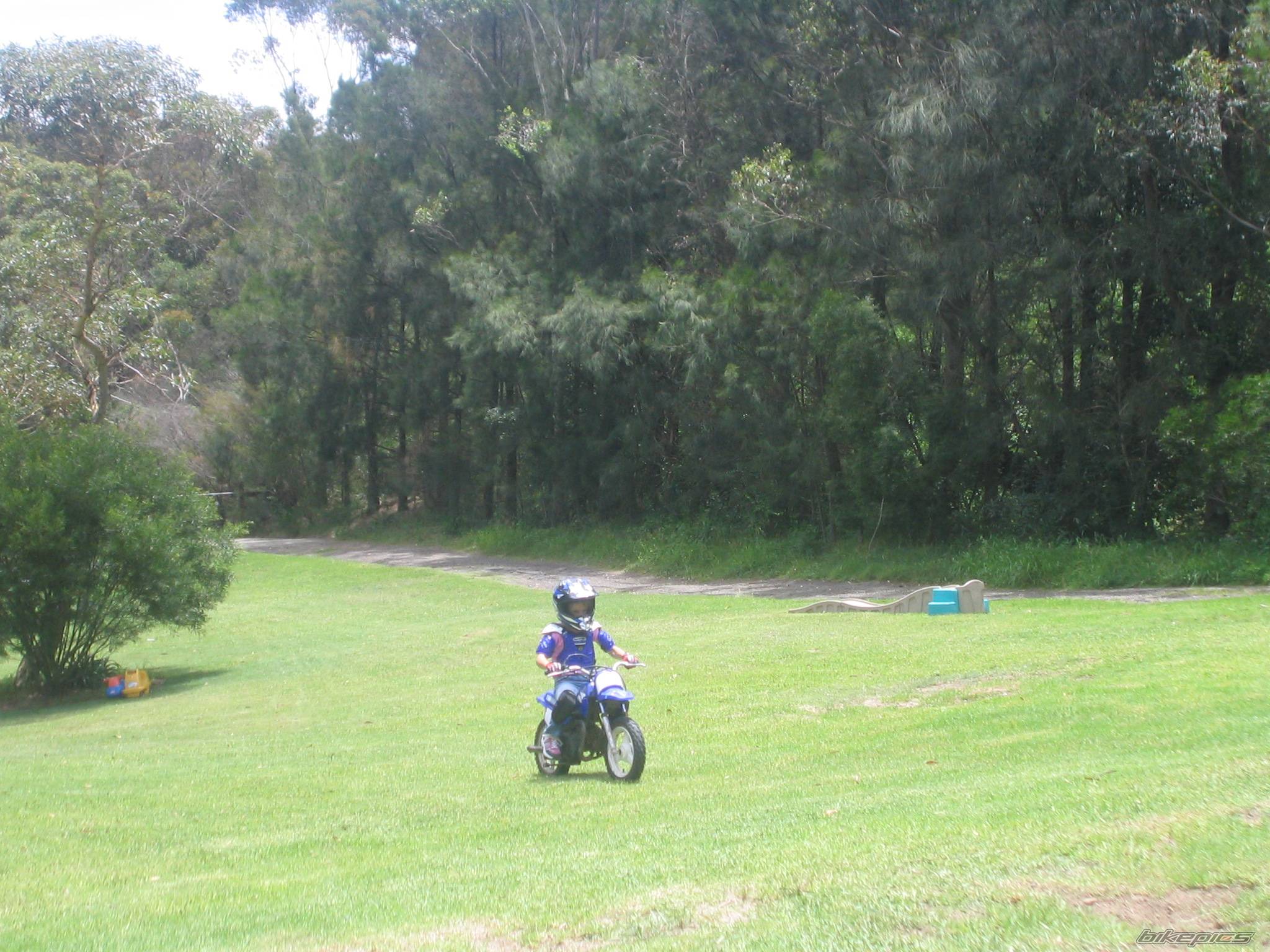 Photo 267389