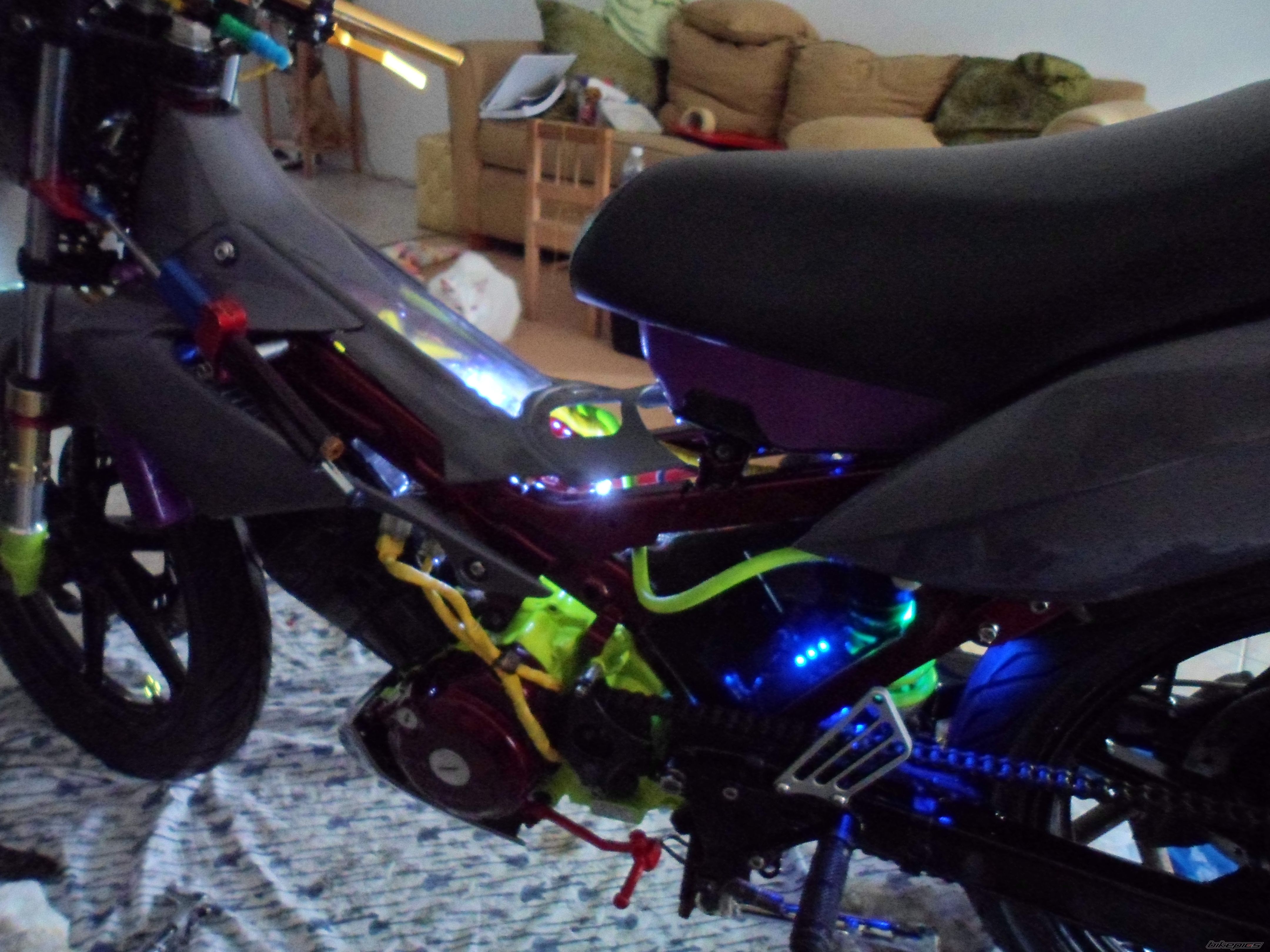 Photo 2673901