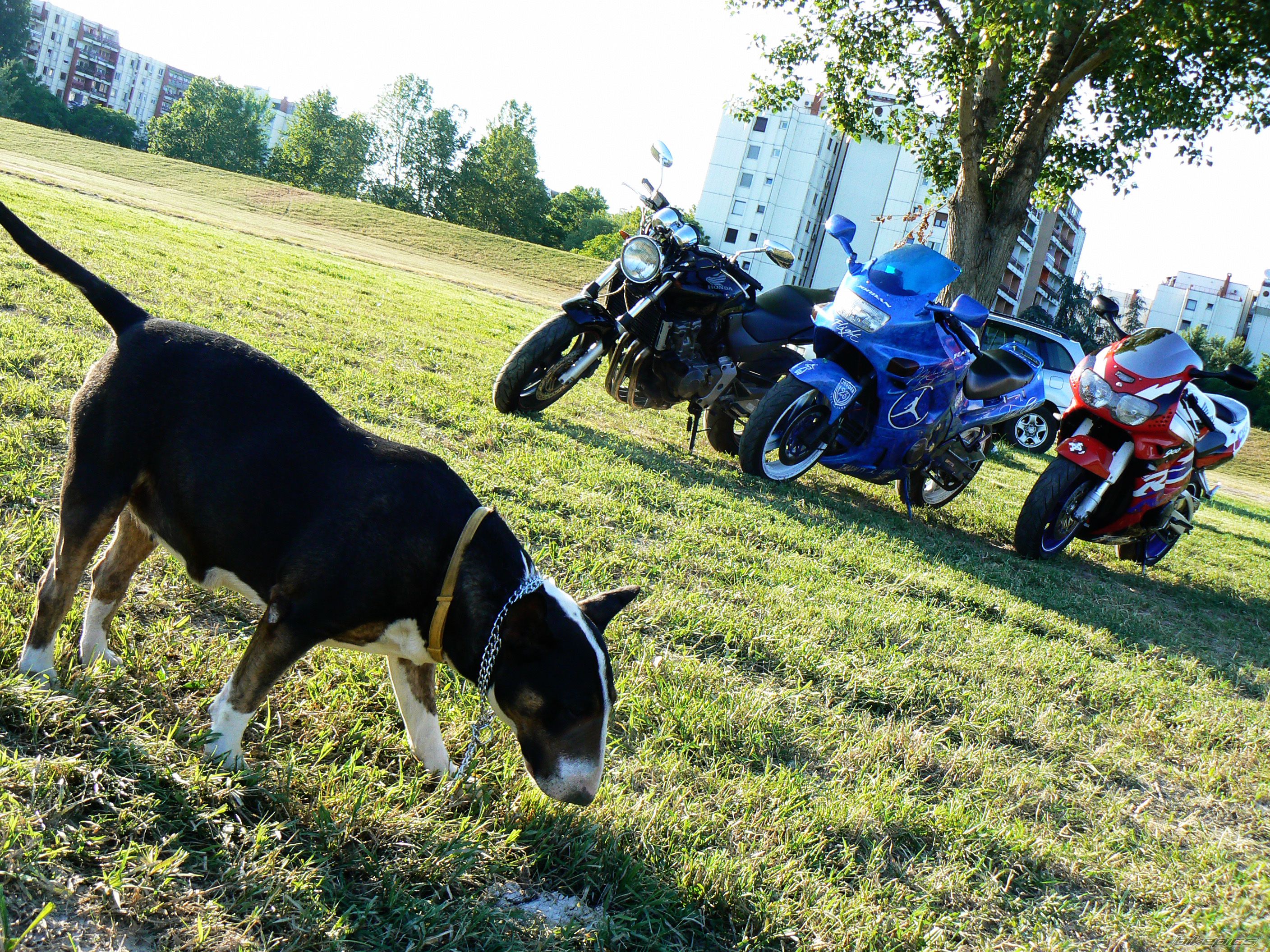 Photo 2673932