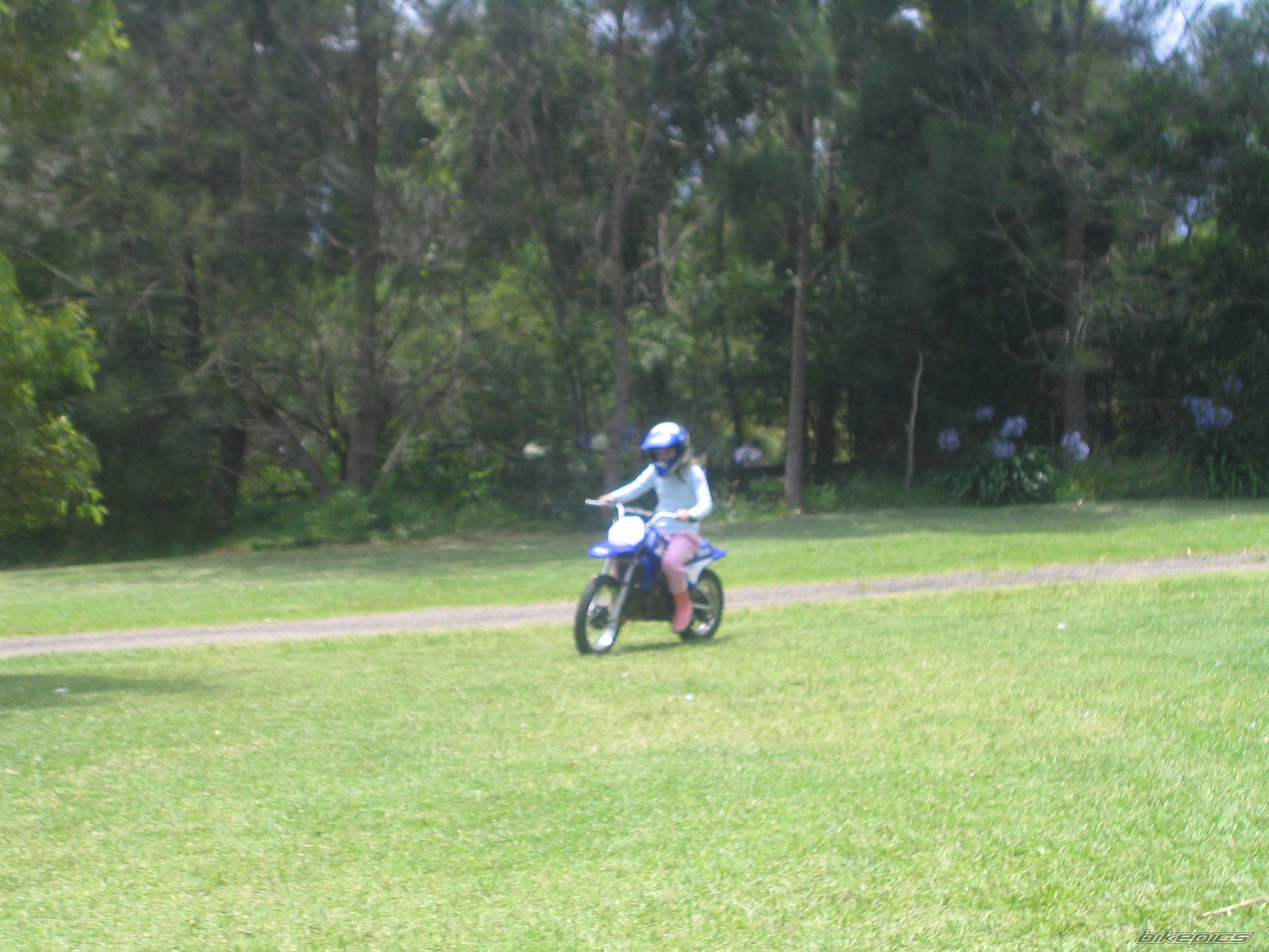 Photo 267394