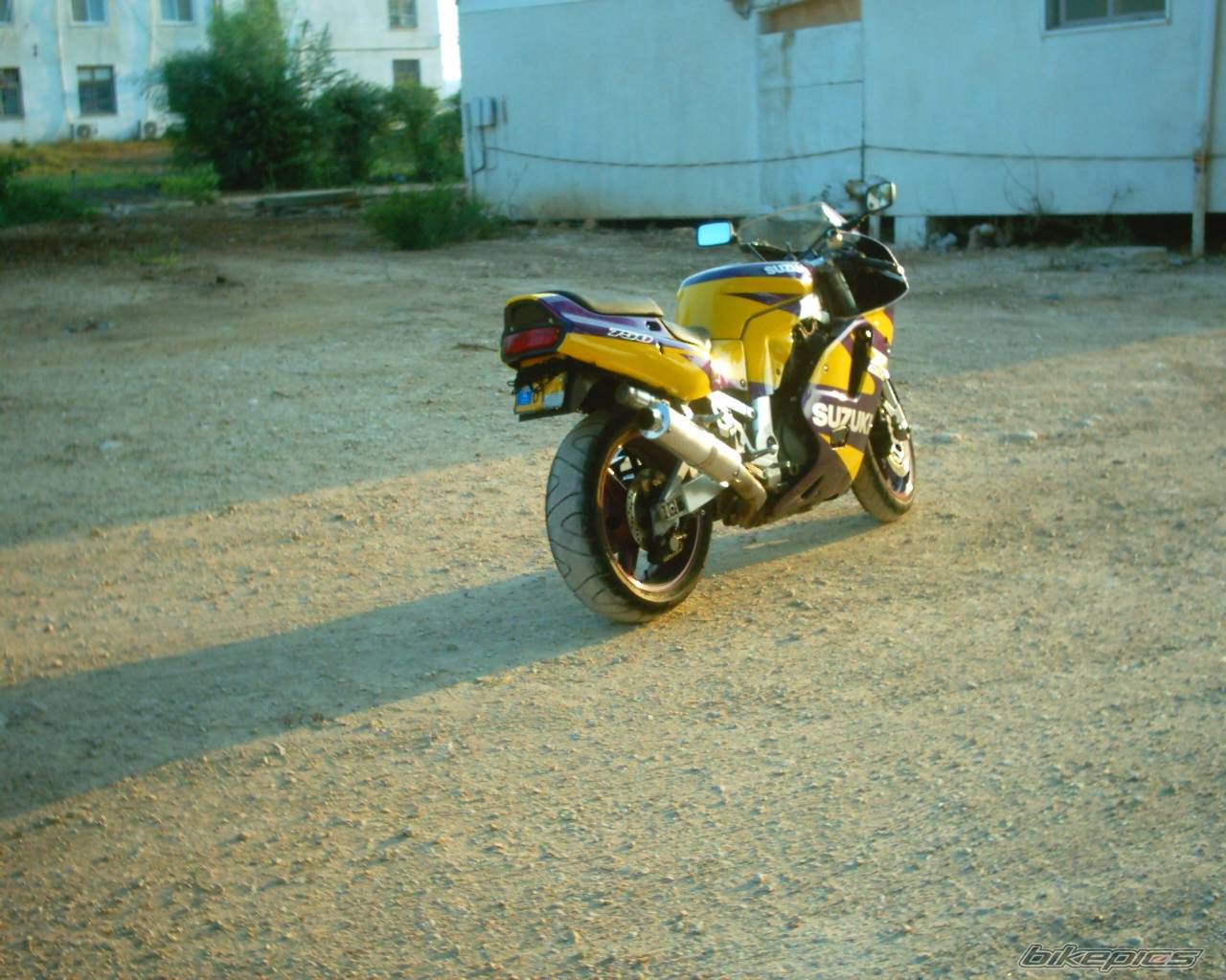 Photo 267397