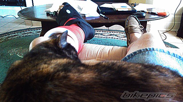 Photo 2674015